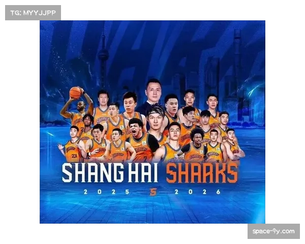 季后赛伤病潮凸显阵容深度重要性,上海轮换优势明显 季后赛伤病潮凸显阵容深度重要性,上海轮换优势明显